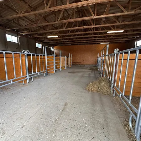 Eickhof Ferienhof Fuer 15 Personen - Ferienhof Guenter - Gratis Parken, Wlan *