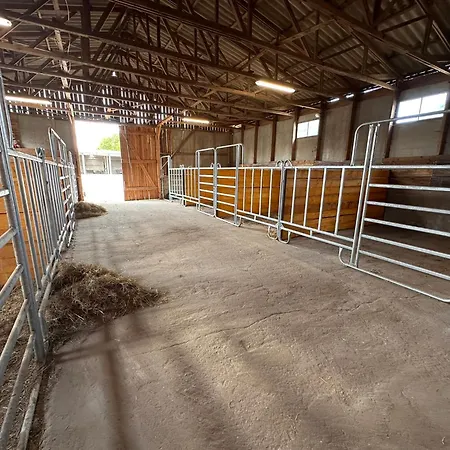 Eickhof Ferienhof Fuer 15 Personen - Ferienhof Guenter - Gratis Parken, Wlan * Warnow (Rostock)